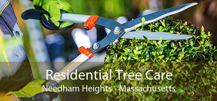 Residential Tree Care Needham Heights - Massachusetts