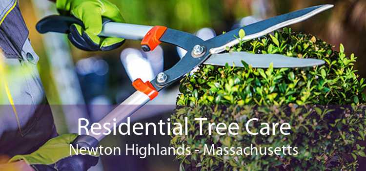 Residential Tree Care Newton Highlands - Massachusetts