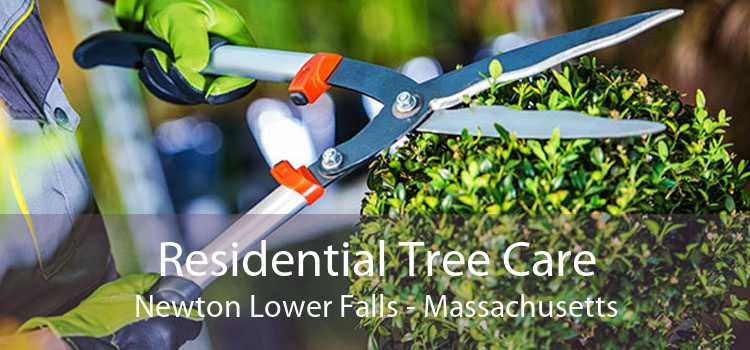 Residential Tree Care Newton Lower Falls - Massachusetts