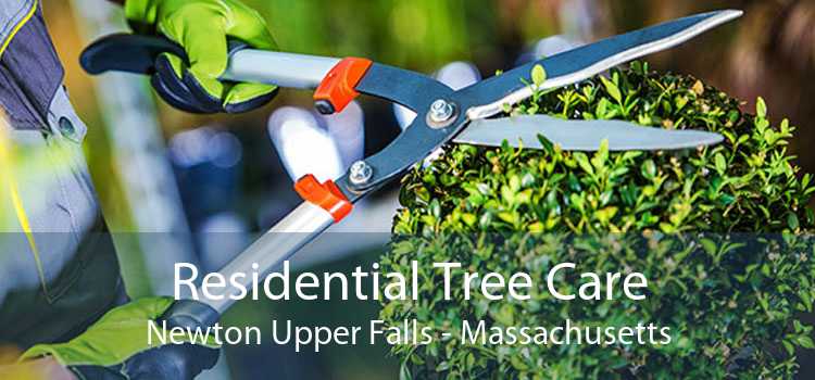 Residential Tree Care Newton Upper Falls - Massachusetts