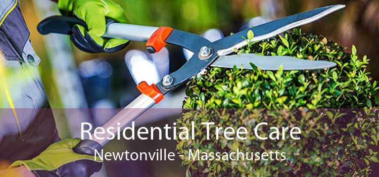 Residential Tree Care Newtonville - Massachusetts