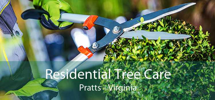 Residential Tree Care Pratts - Virginia