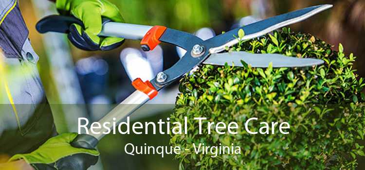 Residential Tree Care Quinque - Virginia