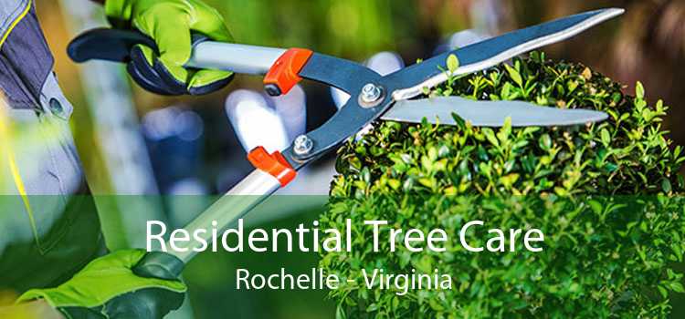Residential Tree Care Rochelle - Virginia