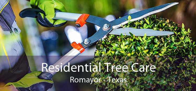 Residential Tree Care Romayor - Texas