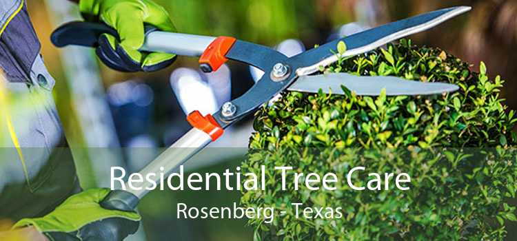 Residential Tree Care Rosenberg - Texas