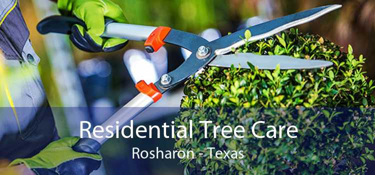 Residential Tree Care Rosharon - Texas