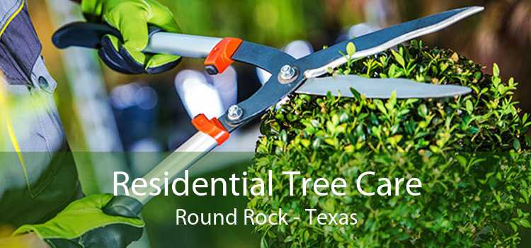 Residential Tree Care Round Rock - Texas