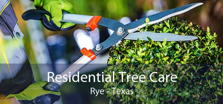 Residential Tree Care Rye - Texas