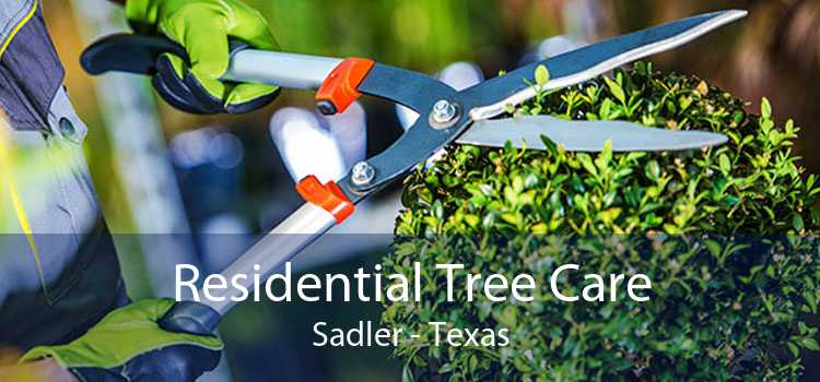 Residential Tree Care Sadler - Texas
