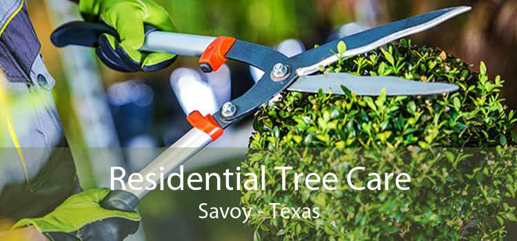 Residential Tree Care Savoy - Texas