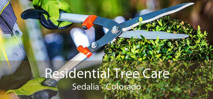 Residential Tree Care Sedalia - Colorado