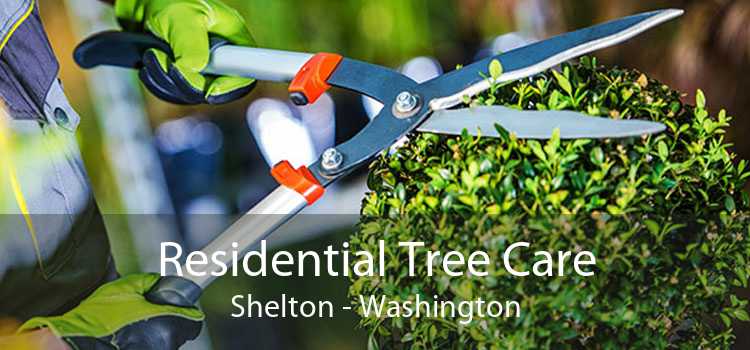 Residential Tree Care Shelton - Washington