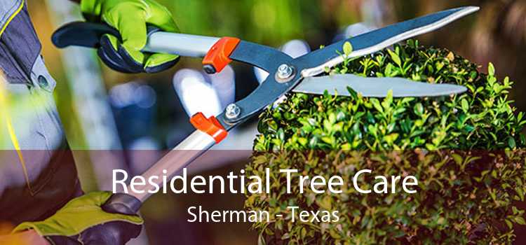 Residential Tree Care Sherman - Texas
