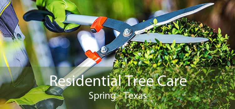 Residential Tree Care Spring - Texas