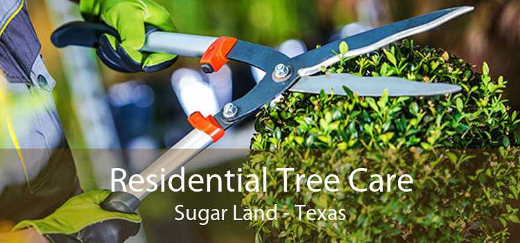 Residential Tree Care Sugar Land - Texas