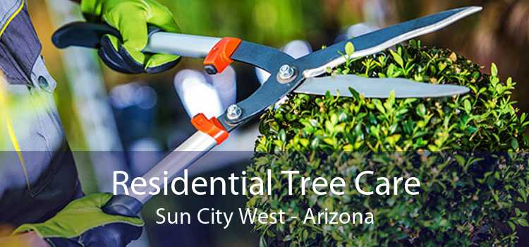 Residential Tree Care Sun City West - Arizona