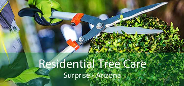 Residential Tree Care Surprise - Arizona