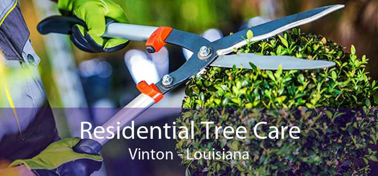 Residential Tree Care Vinton - Louisiana