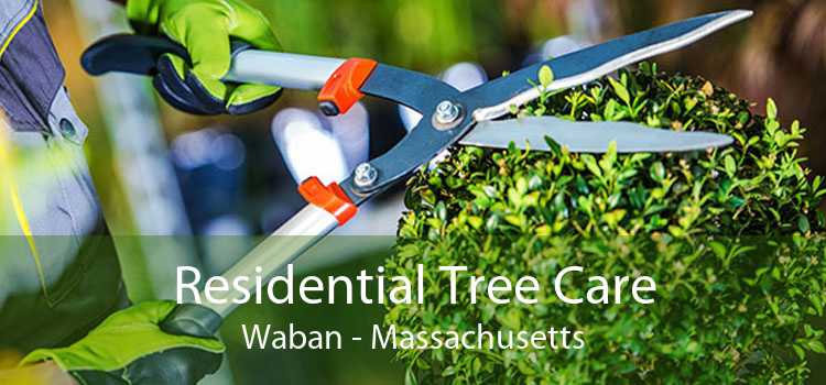 Residential Tree Care Waban - Massachusetts