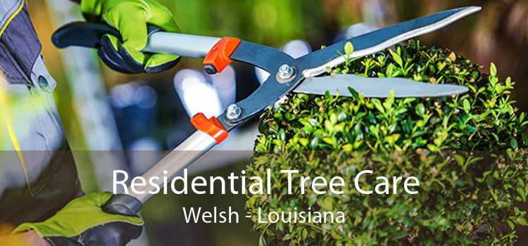 Residential Tree Care Welsh - Louisiana