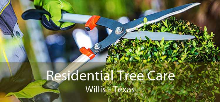Residential Tree Care Willis - Texas