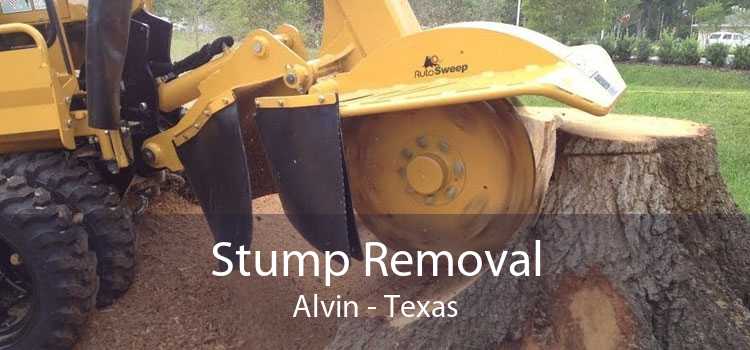 Stump Removal Alvin - Texas