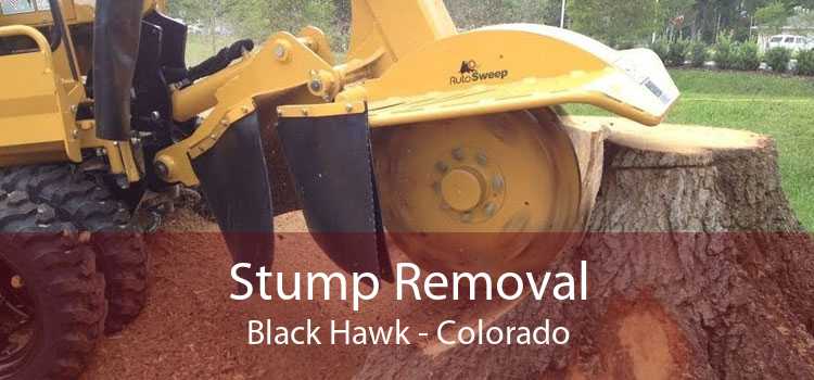 Stump Removal Black Hawk - Colorado