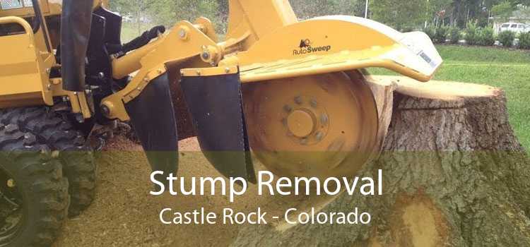 Stump Removal Castle Rock - Colorado