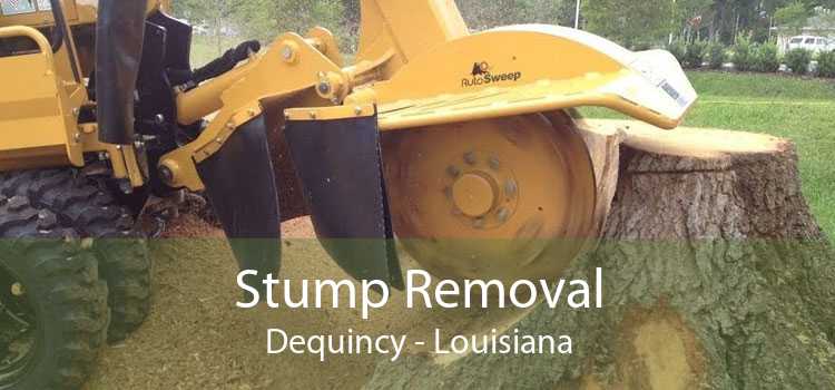 Stump Removal Dequincy - Louisiana