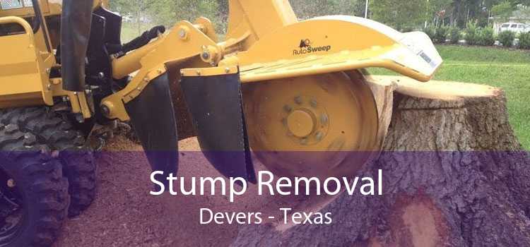 Stump Removal Devers - Texas