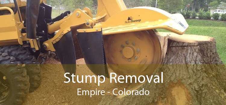 Stump Removal Empire - Colorado