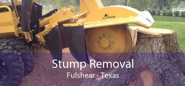 Stump Removal Fulshear - Texas