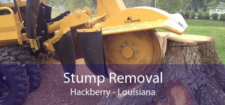 Stump Removal Hackberry - Louisiana