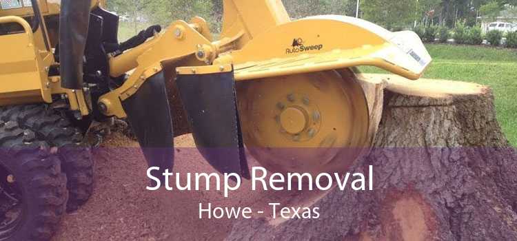 Stump Removal Howe - Texas