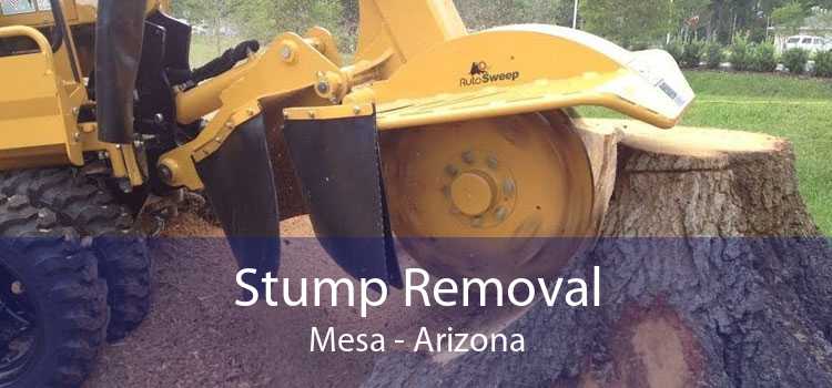 Stump Removal Mesa - Arizona