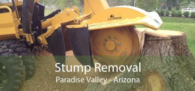 Stump Removal Paradise Valley - Arizona