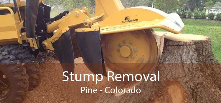 Stump Removal Pine - Colorado