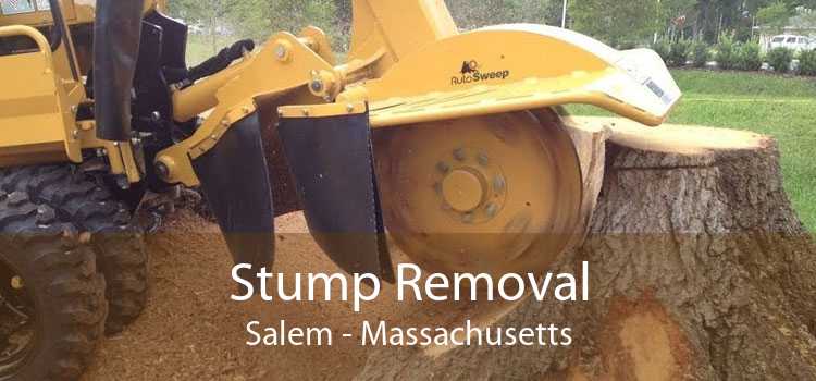 Stump Removal Salem - Massachusetts