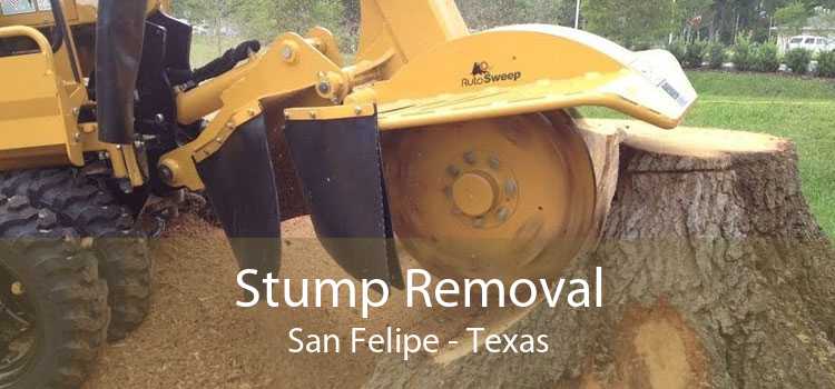 Stump Removal San Felipe - Texas