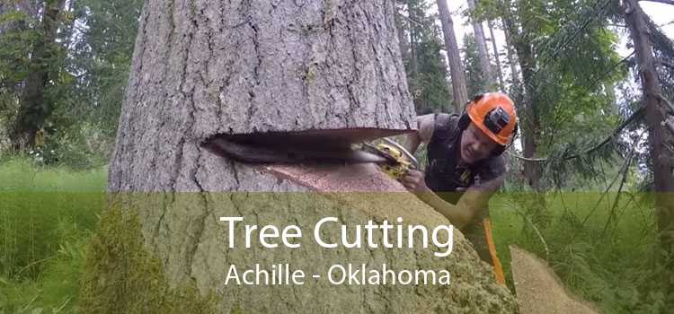 Tree Cutting Achille - Oklahoma
