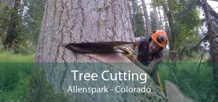 Tree Cutting Allenspark - Colorado