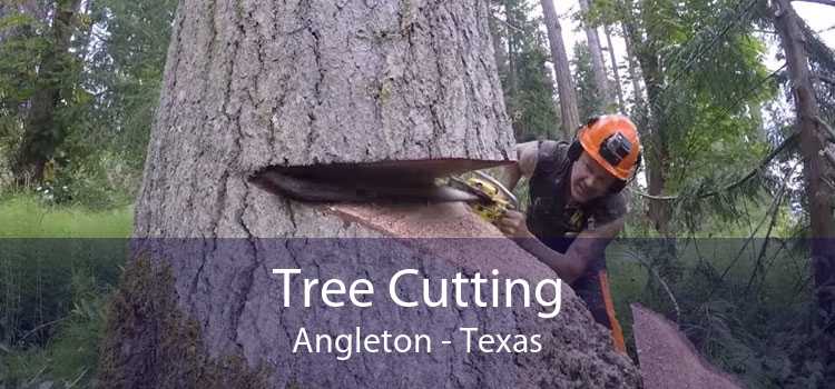 Tree Cutting Angleton - Texas