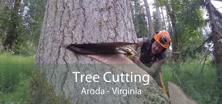 Tree Cutting Aroda - Virginia