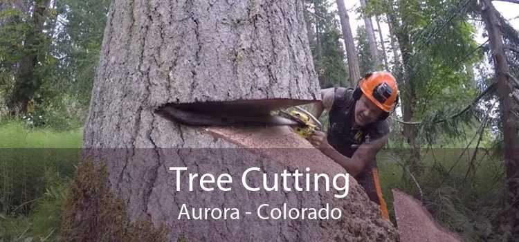 Tree Cutting Aurora - Colorado
