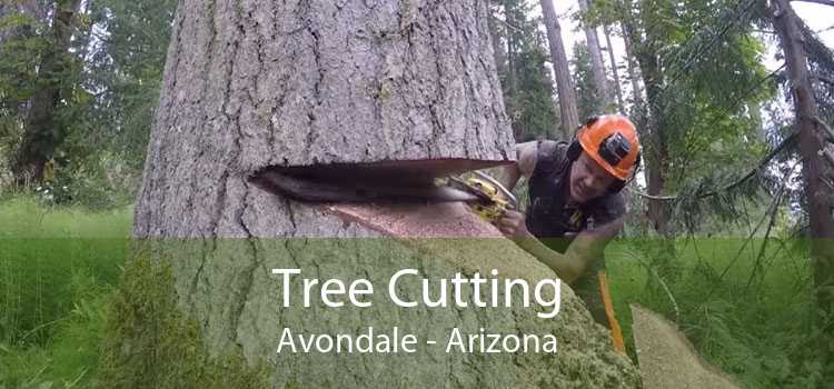 Tree Cutting Avondale - Arizona