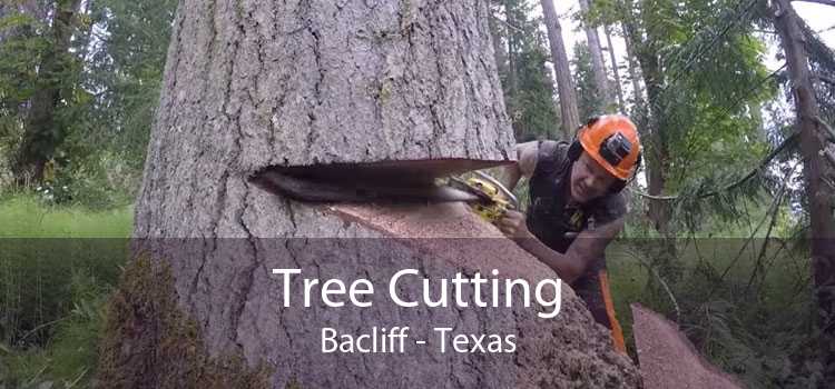 Tree Cutting Bacliff - Texas