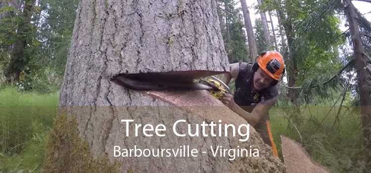 Tree Cutting Barboursville - Virginia