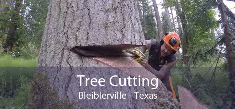 Tree Cutting Bleiblerville - Texas