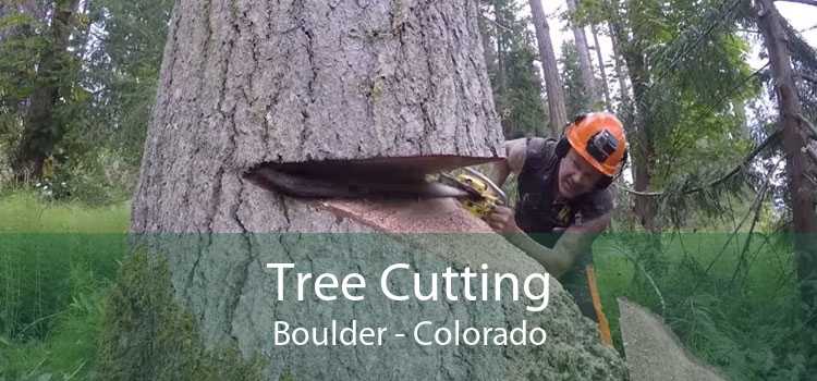 Tree Cutting Boulder - Colorado